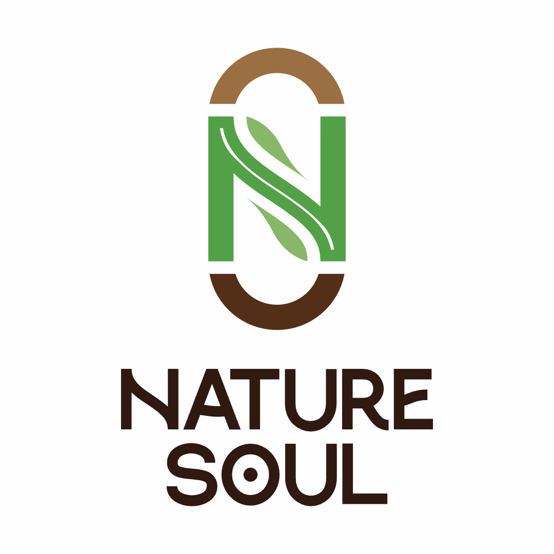 NatureSoul Logo