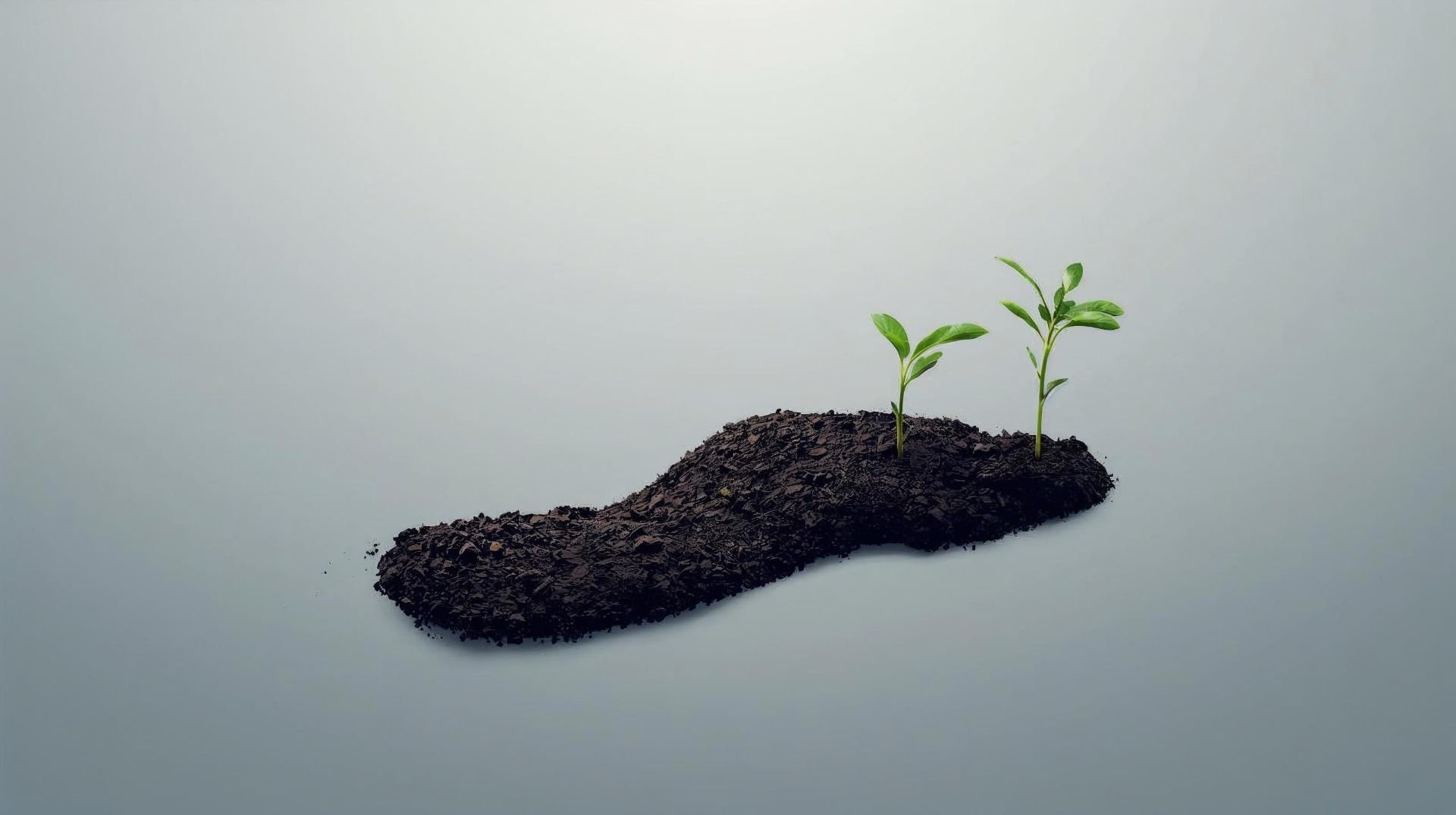 La Huella de Carbono Digital: De Impacto Invisible a Decisión Estratégica